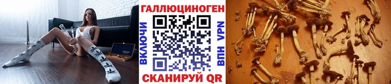 Купить  Нижний Ломов  Псилоцибиновые грибы мухоморы 