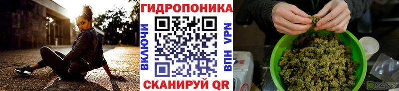 Купить где  Нижний Ломов  МАРИХУАНА семена 